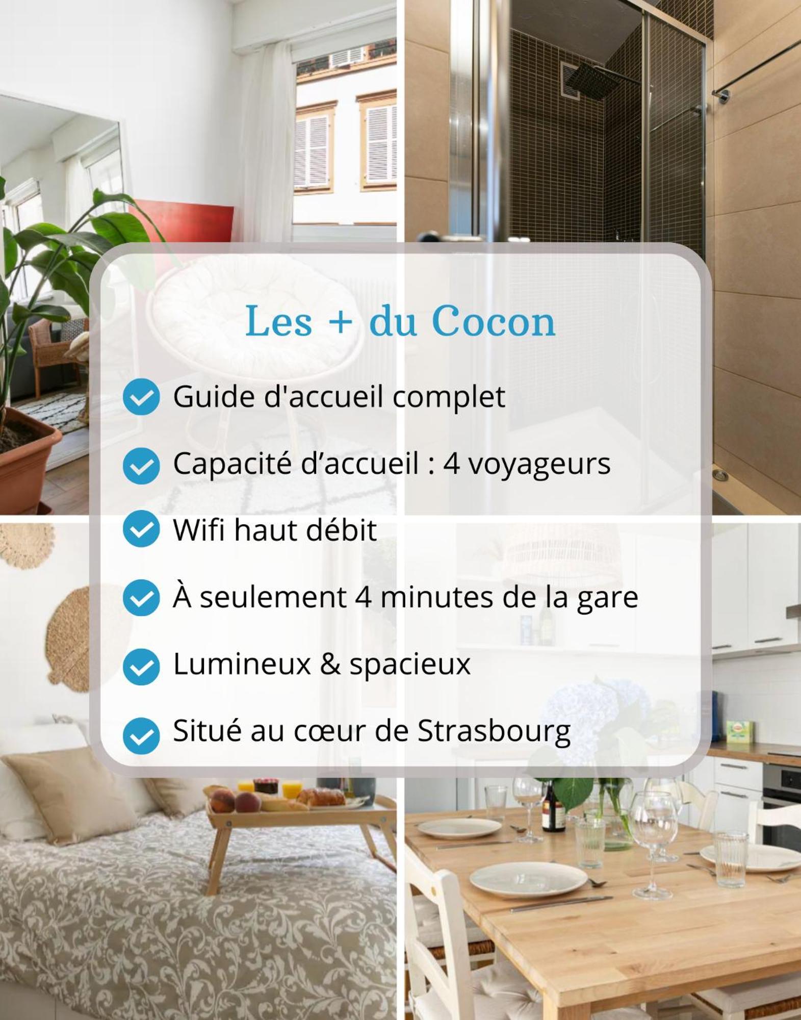 Le Cocon - Proche Gare - Lumineux & Centre Ville - Commerces A Proximite Strasburgo Esterno foto